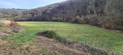/international/fr/paulinet-midi-pyrenees-310098922926/