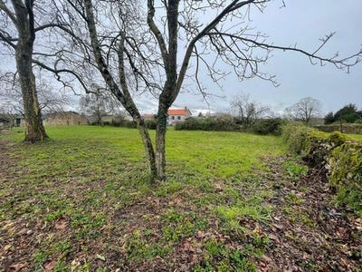 /international/fr/verrines-sous-celles-charente-310099360986/