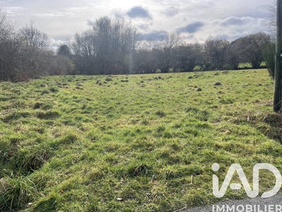 /international/fr/le-vieux-marche-brittany-310105533455/