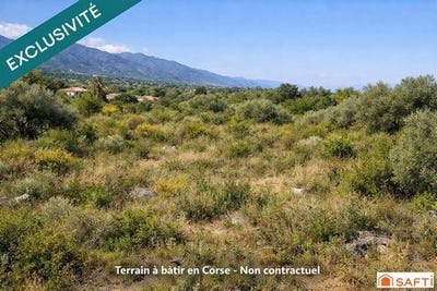 /international/fr/poggio-mezzana-corsica-310108404607/