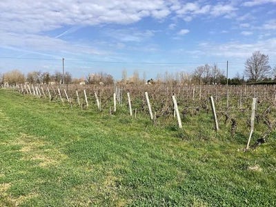 /international/fr/saint-sulpice-de-faleyrens-aquitaine-310108487521/