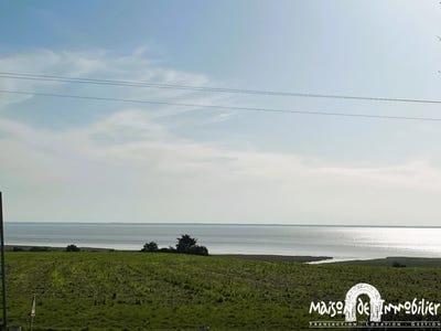 /international/fr/chenac-saint-seurin-d-uzet-charente-310106223266/