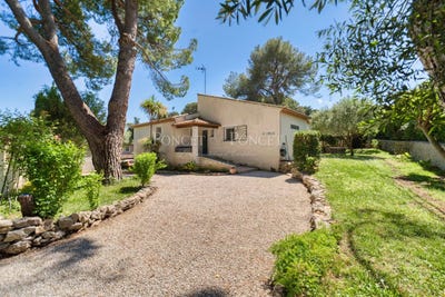 /international/fr/montpellier-languedoc-roussillon-310108652475/