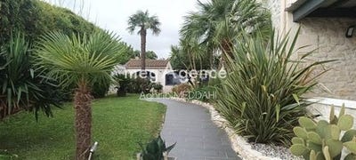 /international/fr/saujon-charente-310107526972/