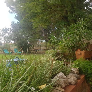 /international/fr/bages-languedoc-roussillon-310099660264/
