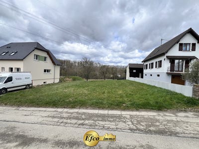 /international/fr/willer-alsace-310107012995/