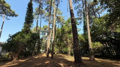 /international/fr/soorts-hossegor-aquitaine-310107562623/