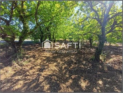 /international/fr/entrechaux-provence-alpes-cote-d-azur-310107367083/