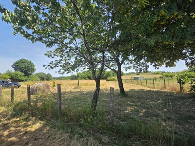 /international/fr/rouffignac-saint-cernin-de-reilhac-aquitaine-310108757177/