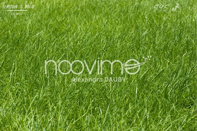 /international/fr/ligne-pays-de-la-loire-310108949877/