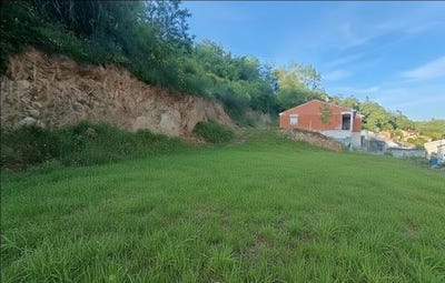 /international/fr/cunac-midi-pyrenees-310106082525/