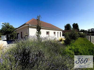 /international/fr/branges-burgundy-310100458737/