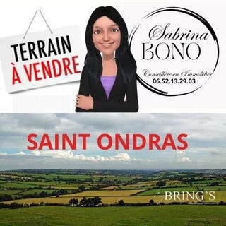 /international/fr/saint-ondras-rhone-310105968649/
