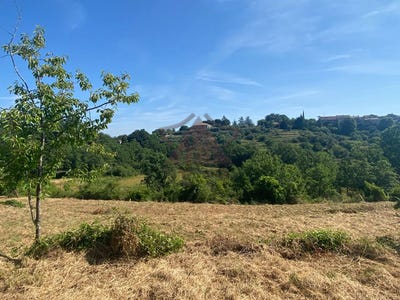 /international/fr/saint-paul-le-jeune-rhone-310100576620/