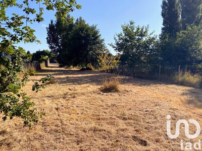 /international/fr/le-chateau-d-oleron-charente-310100990421/