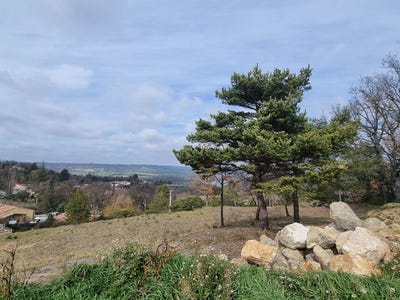 /international/fr/artignosc-sur-verdon-provence-alpes-cote-d-azur-310108104545/
