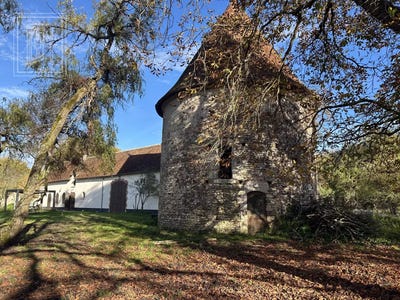 /international/fr/pruniers-en-sologne-centre-val-de-loire-310099915275/
