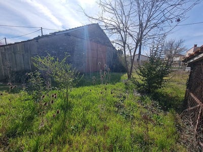 /international/fr/saint-sulpice-sur-leze-midi-pyrenees-310106838440/