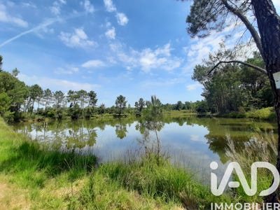 /international/fr/la-roche-chalais-aquitaine-310108860804/