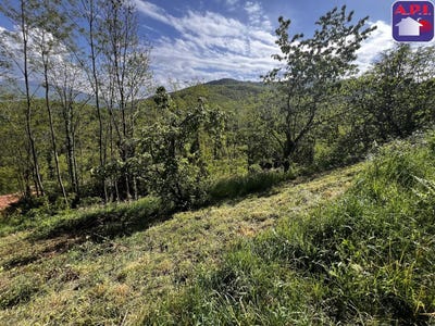 /international/fr/foix-midi-pyrenees-310107837217/