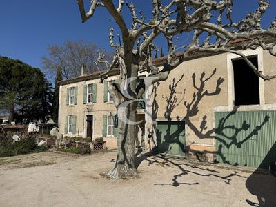 /international/fr/maillane-provence-alpes-cote-d-azur-310109941348/