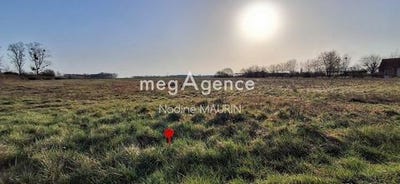 /international/fr/soings-en-sologne-centre-val-de-loire-310106996196/
