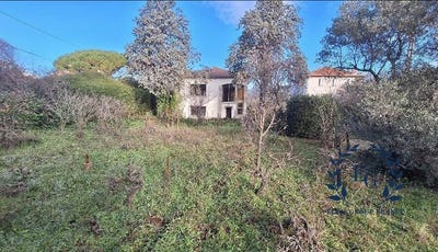 /international/fr/la-penne-sur-huveaune-provence-alpes-cote-d-azur-310119943280/