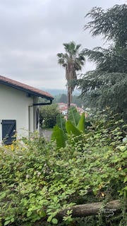/international/fr/cambo-les-bains-aquitaine-310108600848/