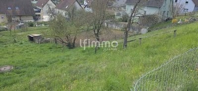 /international/fr/wittersdorf-alsace-310108006640/