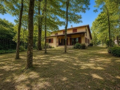 /international/fr/labastide-saint-pierre-midi-pyrenees-310106632159/