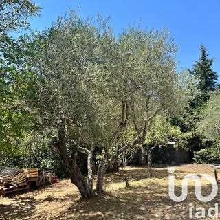 /international/fr/signes-provence-alpes-cote-d-azur-310106796208/