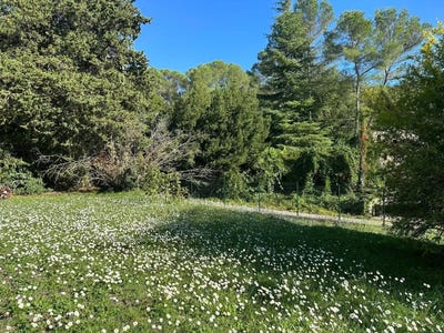 /international/fr/mougins-provence-alpes-cote-d-azur-310106913697/