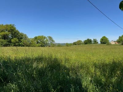 /international/fr/terrasson-lavilledieu-aquitaine-310099090657/