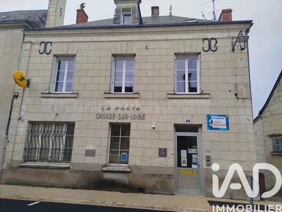 /international/fr/chouze-sur-loire-centre-val-de-loire-310107090142/
