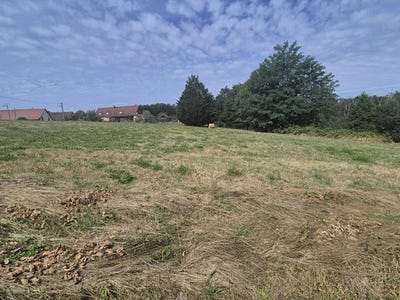 /international/fr/saint-usuge-burgundy-310101155858/