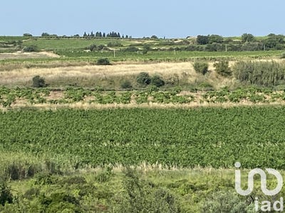 /international/fr/magalas-languedoc-roussillon-310100935136/