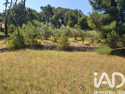 /international/fr/espira-de-l-agly-languedoc-roussillon-310108455501/