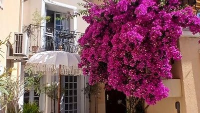 /international/fr/meze-languedoc-roussillon-310108375303/
