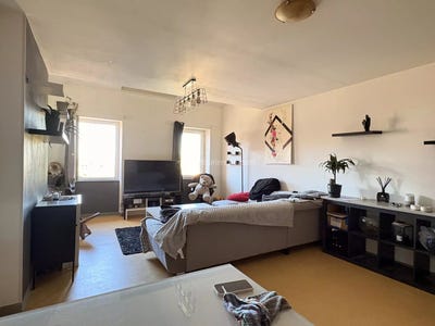 /international/fr/gaillac-midi-pyrenees-310109179590/