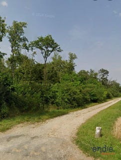 /international/fr/saint-denis-de-palin-centre-val-de-loire-310109201942/