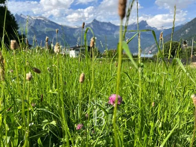 /international/fr/saint-gervais-les-bains-rhone-310101155766/
