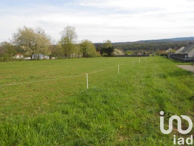 /international/fr/longevelle-sur-doubs-franche-comte-310101034017/