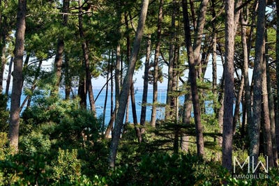/international/fr/cap-ferret-aquitaine-310106579822/