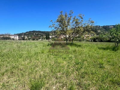 /international/fr/saint-bres-provence-alpes-cote-d-azur-310099618888/
