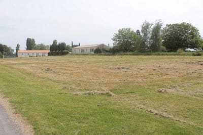 /international/fr/bois-charente-310107947625/