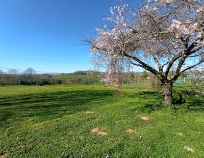 /international/fr/frechou-frechet-midi-pyrenees-120088272375/