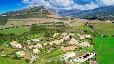 /international/fr/oletta-corsica-310106541247/