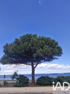 /international/fr/marseillan-languedoc-roussillon-310108270295/