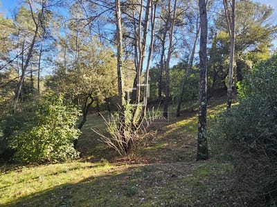 /international/fr/montferrier-sur-lez-languedoc-roussillon-310105248247/
