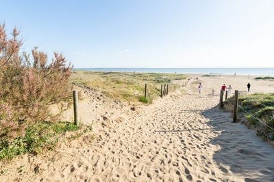 /international/fr/st-brevin-les-pins-pays-de-la-loire-310099626129/